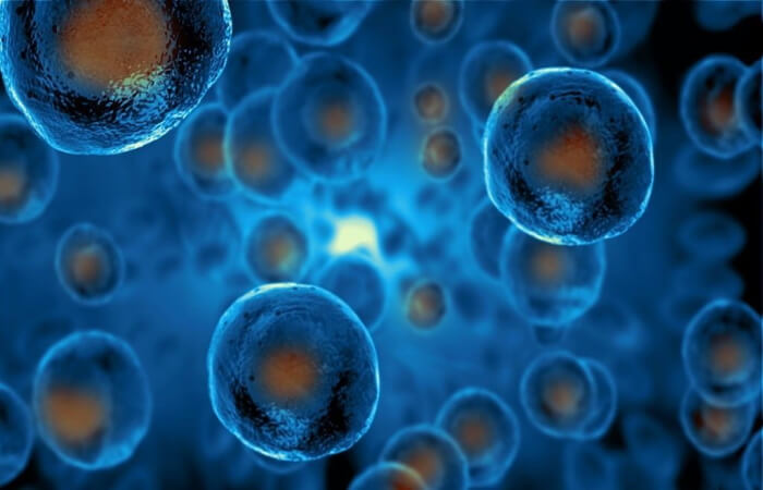الخلايا الجذعية للبشرة